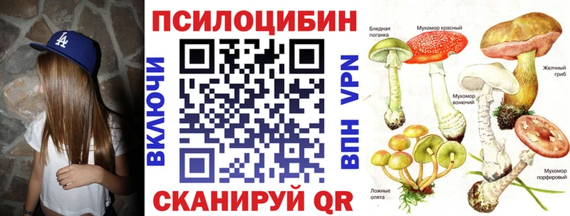 OMG вход  Павловск  нарко площадка как зайти  Псилоцибиновые грибы GOLDEN TEACHER 